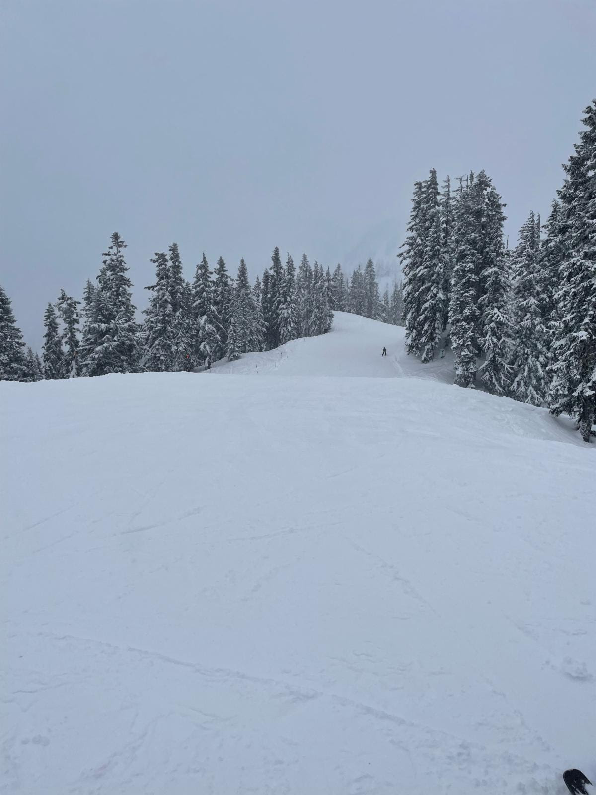 6 to 10 inches of powder today, more on Monday